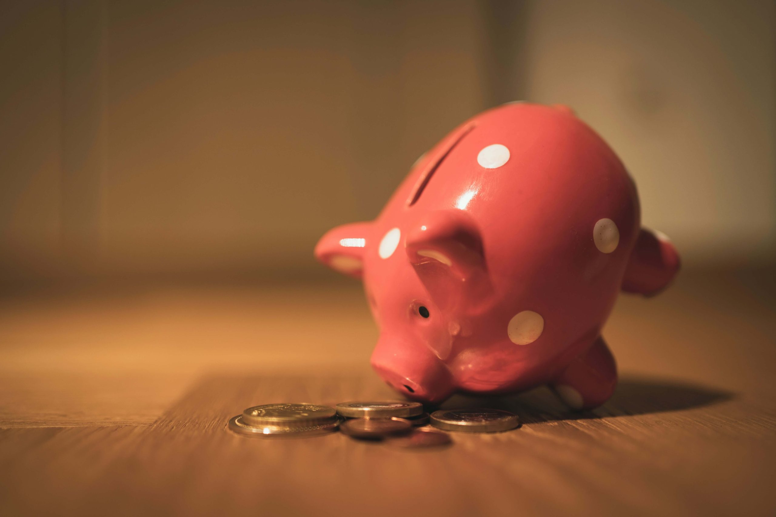 image of a [piggy bank close up